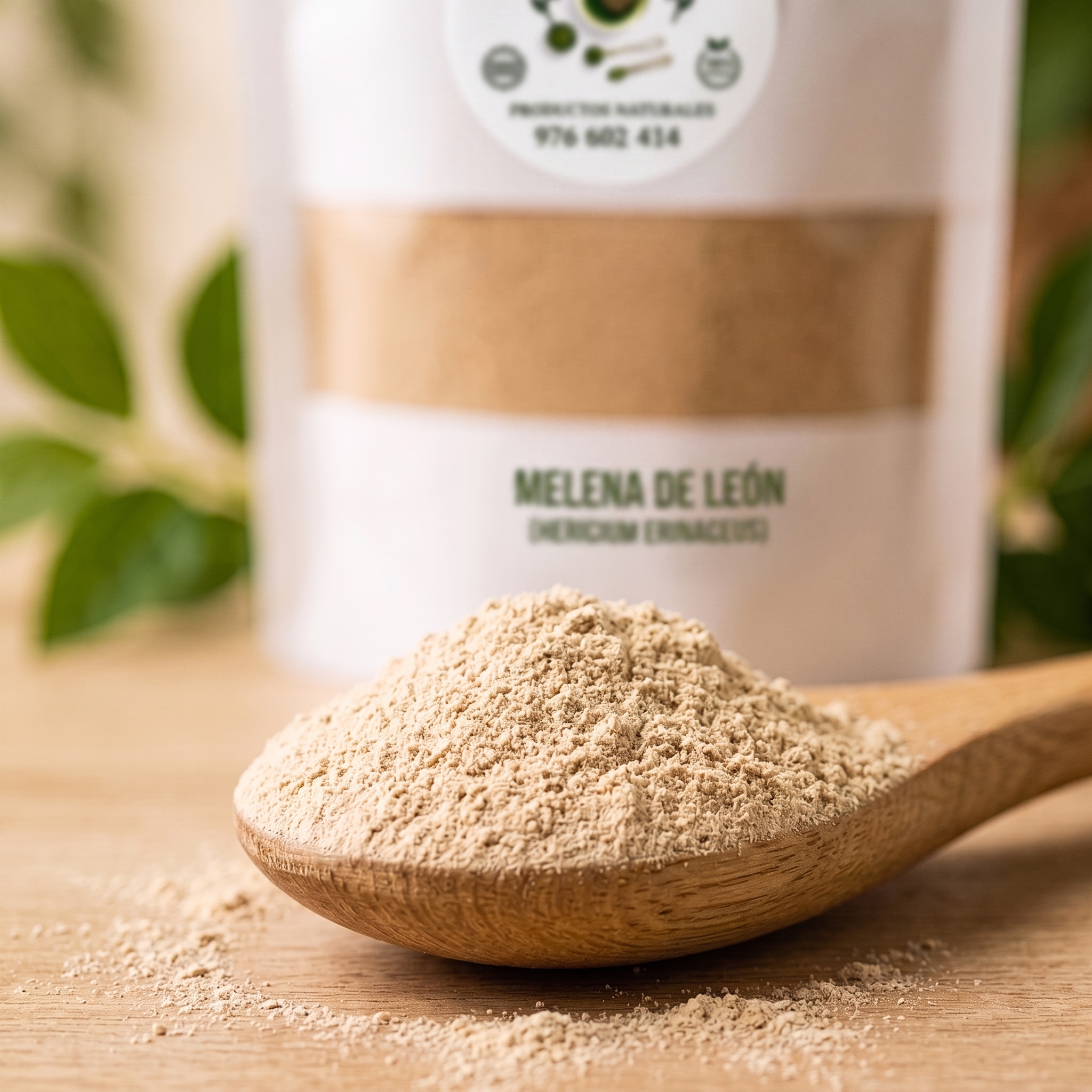 Melena de Leon (Hericium Erinaceus) 100g